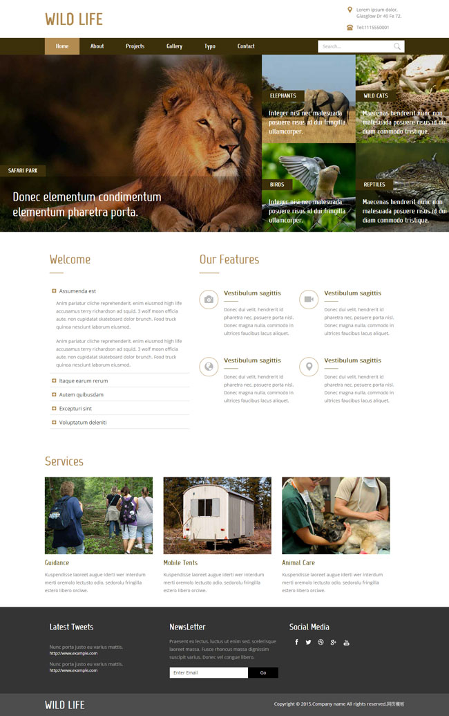 狮子动物园管理网站模板