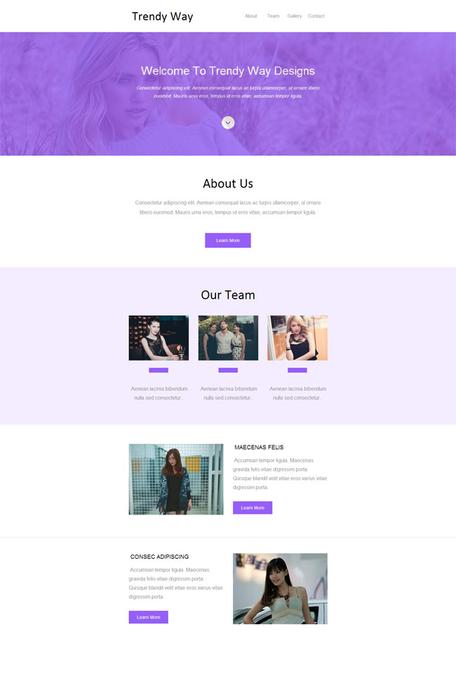 紫色简洁时尚网站模板