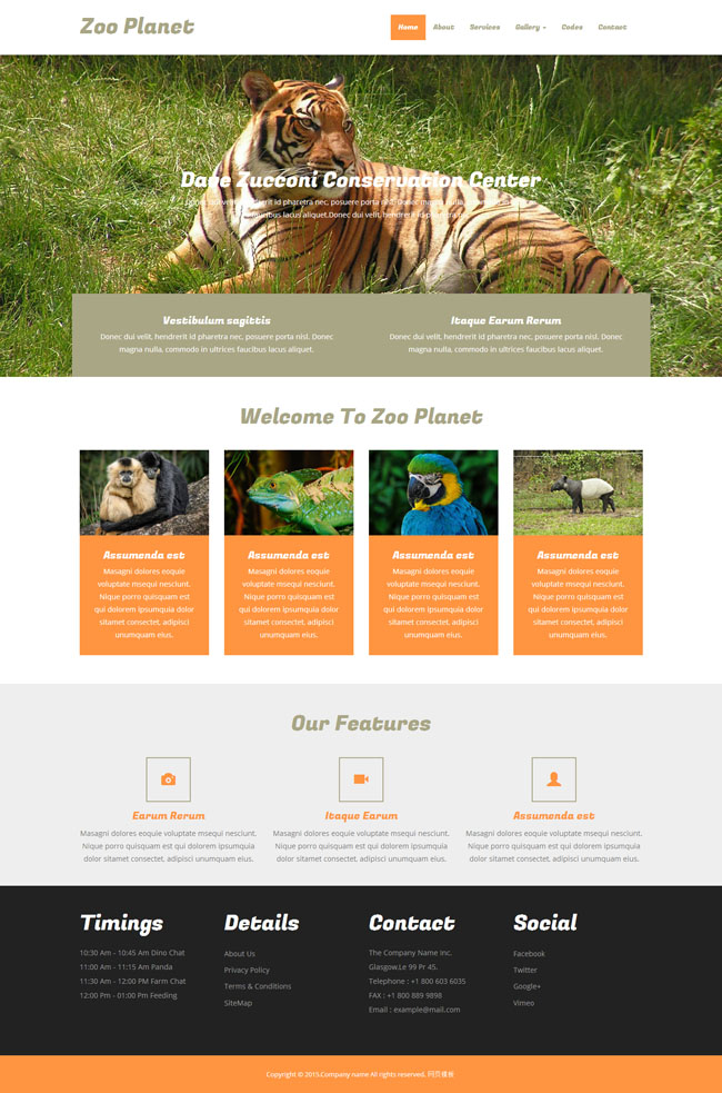 老虎动物园网站模板